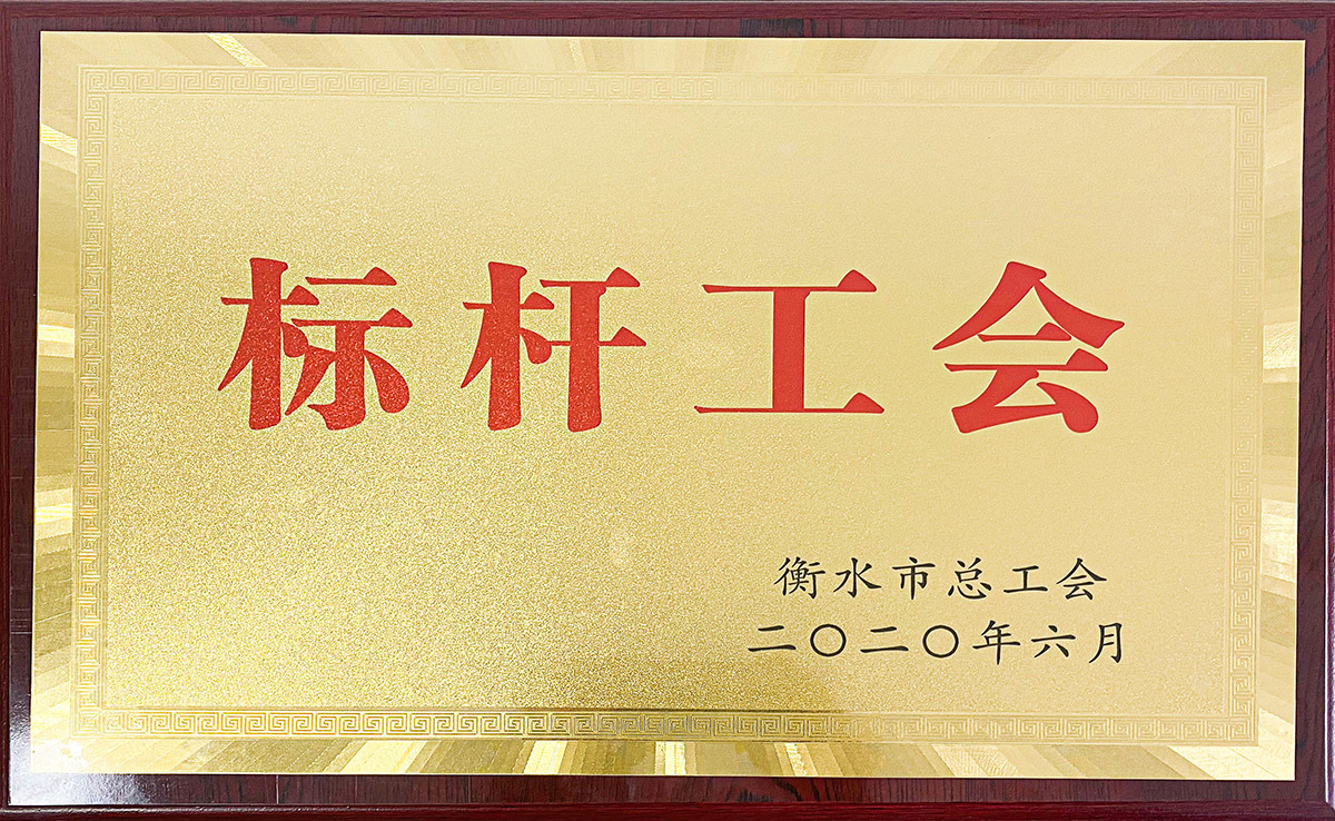 衡橡科技 再获殊荣